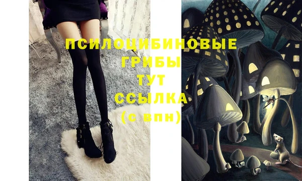 кокаин перу Бородино