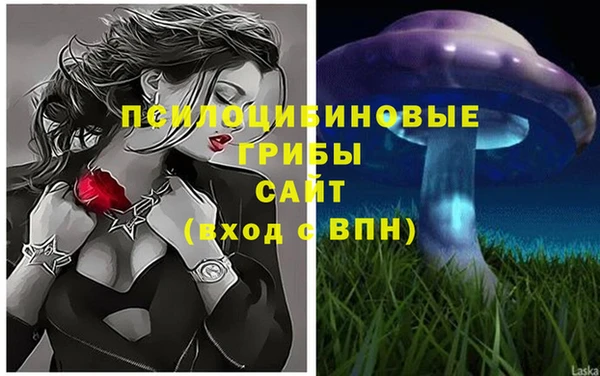 mdpv Бугульма
