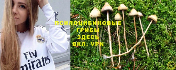 кокаин перу Бородино